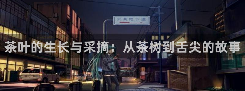 摩登7平台登录下载