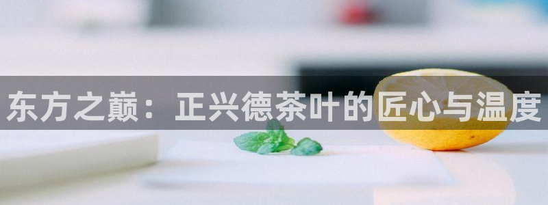 摩登口碑7