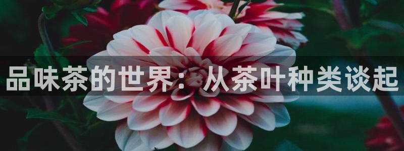 摩登7登录泽333OO