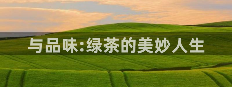 摩登招商7快22650